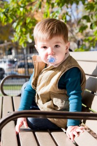 boy toddler photo fall oak park