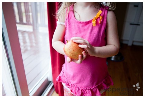 naperville photographer, appelman images photography, apples, iheartfaces, march, apple, toddler