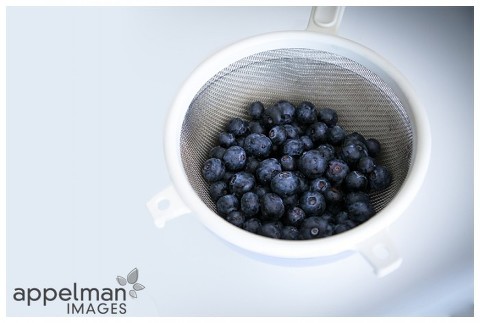 Appelman Images Photography, still life, color, blueberries, quirky family photographer