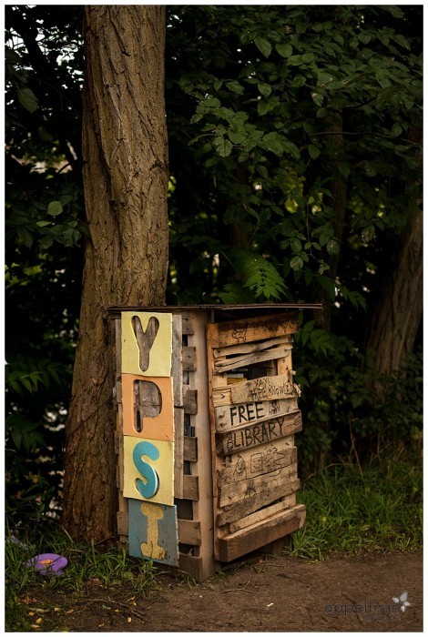 Color photography of community library found in Frog Island Park Ypsilanti Michigan