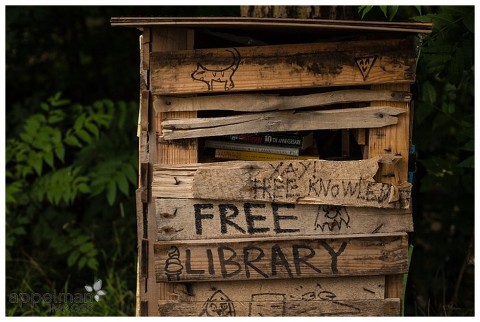 Color photography of community library found in Frog Island Park Ypsilanti Michigan.  Showing books within.