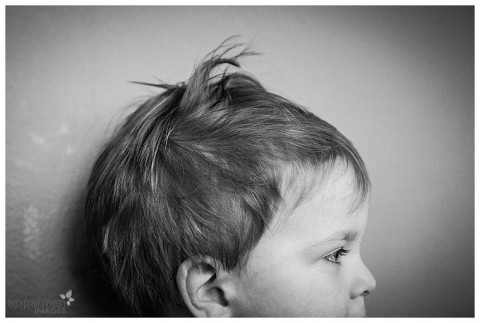 Fluffy hair on baby boy naperville family pictures 11-365 2014