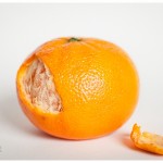 Naperville Art photographer Flesh Tangerine Peel still life and texture orange and white 123-365 2014