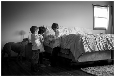 Kids found the secret candy stash during a Family Photography Session by Naperville Photographer