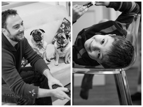 dad with adoring pugs and little boy on chair black and white lifestyle photos