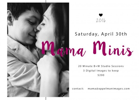 mama mini photography session 2016 naperville illinois